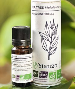Huile essentielle Tea Tree bio – 10ml