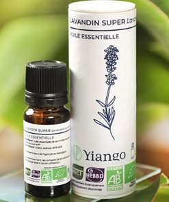 Huile essentielle Lavandin Super bio – 10ml