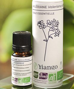 Huile essentielle Valériane officinalis bio – 5ml