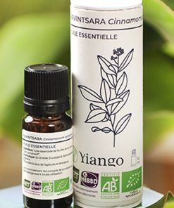 Huile essentielle Ravintsara bio – 10ml