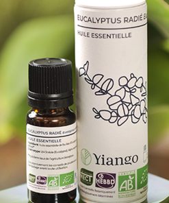 Huile essentielle Eucalyptus Radié bio – 10ml