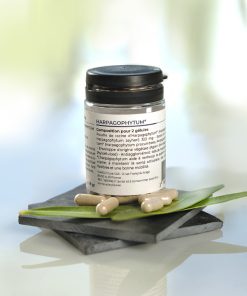 Complément alimentaire – HARPAGOPHYTUM