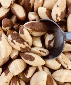 Noix d&rsquo;Amazonie – bio